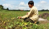 Landwirtschaftsversicherung – Politik zur Förderung der Bauern