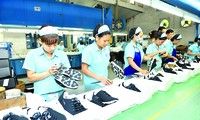  Der Export von vietnamesischen Lederschuhe wird sich im Jahr 2018 besser entwickeln