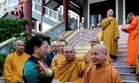 Aktivitäten zum Vesak-Tag in einigen Provinzen