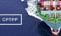 CPTPP – Chancen und Herausforderungen für die Entwicklung Vietnams 