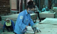 Der Export der vietnamesischen forstwirtschaftlichen Produkte erreicht im Jahr 2018 9,3 Milliarden US-Dollar 