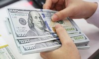Vietnam investiert mehr als 432 Millionen US-Dollar ins Ausland