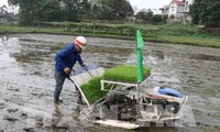  Fröhliche Stimmung bei der landwirtschaftlichen Produktion im neuen Jahr