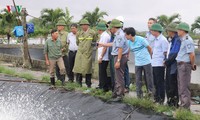 Vize-Landwirtschaftsminister Phung Duc Tien überprüft die landwirtschaftliche Produktion in Hai Phong