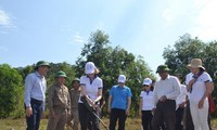 Unterstützung für Blindgänger-Opfer in Quang Binh und Binh Dinh