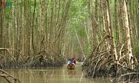 Ca Mau startet den Wettbewerb für Tourismus-Fotos