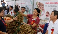 Hung Yen verstärkt Verbrauchsförderung von Agrarprodukten