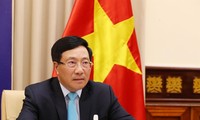 Vize-Premierminister Pham Binh Minh nimmt an Online-Diskussion des UN-Sicherheitsrats teil