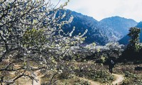 Hochland Moc Chau, Route zur Entdeckung des Nordwestens