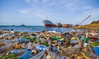 Aufklärung über den Kampf gegen Plastikmüll