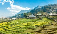 Lao Cai entwickelt den Agrartourismus