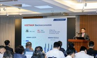 Unternehmen zwischen Vietnam und Südkorea verstärken die Investition