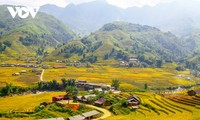 Zahlreiche Tourismusfeste und Kunstprogramme in der Provinz Lao Cai