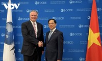 OECD will Vietnam bei der Erneuerung der Wachstumsmodelle begleiten