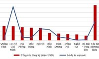 Das ausländische Investitionskapital ist in den vergangenen elf Monaten um 14,8 Prozent gestiegen