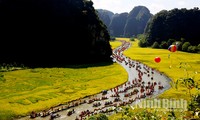 Zahlreiche Aktivitäten in der Tourismuswoche der Provinz Ninh Binh