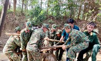 Vietnam und der Plan zur Beseitigung der Folgen von Blindgängern