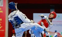 Mehr als 1100 Sportlerinnen und Sportler nehmen an der Nationalen Jugend-Taekwondo-Meisterschaft teil