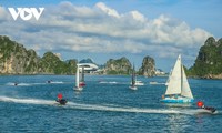 Beeindruckende Vorführung des Wellenreitens in der Halong-Bucht 