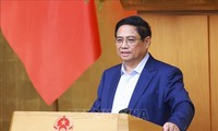 Premierminister Pham Minh Chinh leitet die Monatssitzung der Regierung