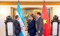Vietnam und Honduras verstärken das politische Vertrauen