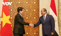 Vietnam und Ägypten werten ihre Beziehungen zu einer umfassenden Partnerschaft auf