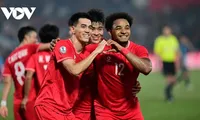 Vietnam hat die Chance zur Teilnahme an der AFC Nations League