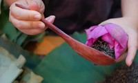 Le thé expéditivement aromatisé au lotus