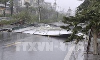 Le typhon Yagi a dévasté de nombreuses localités avant de se transformer en dépression tropicale