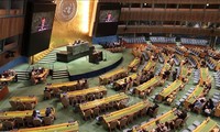 Le Vietnam souligne la portée historique et les valeurs fondamentales de la Charte des Nations Unies