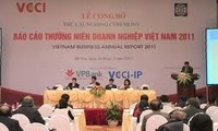 Báo cáo thường niên doanh nghiệp Việt Nam 2011