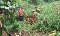 Công bố Chiến lược quốc gia phòng chống ma túy, tội phạm và mua bán người