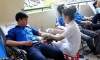 Đà Nẵng, Tuyên Quang mít tinh hưởng ứng Ngày toàn dân hiến máu tình nguyện