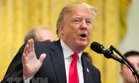 Трамп заявил об обязанности стран НАТО заплатить США за оборону