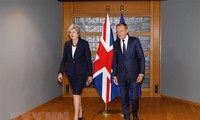 Внеочередной саммит ЕС по Brexit назначен на 25 ноября 