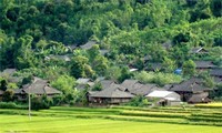 หมู่บ้านหินโบราณตามเดื่อง