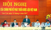 PM Nguyen Xuan Phuc memimpin Konferensi Nasional tentang pengembangan bahan farmasi Vietnam