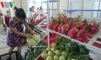 Ekspor hortikultura diprakirakan mencapai satu miliar dolar AS