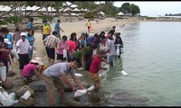 Banyak aktivitas sosial dan melindungi lingkungan di Festival Laut Nha Trang-Khanh Hoa 2017