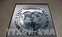 IMF memperingatkan bahwa ekonomi dunia belum pulih sepenuhnya