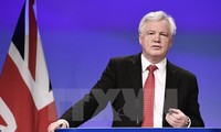 Putaran perundingan tentang masalah Brexit selanjutnya akan berlangsung dari 9-10/11