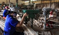 Konferensi tentang solusi mengembangkan cabang industri pengolahan kayu dan hasil kehutanan