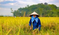 Pembukaan Kongres Nasional ke-7 Asosiasi Petani Vietnam