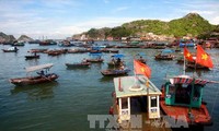 Laut dan pulau Vietnam: Menyusun rencana melaksanakan Strategi pengembangan ekonomi kelautan secara berkesinambungan