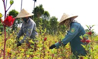 PBB mengumumkan laporan penilaian terhadap laju pelaksanaan SDG