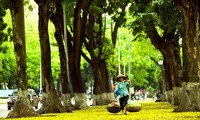 Mengikhtisarkan surat saudara-saudara pendengar dan memperkenalkan sepintas lintas tentang pedagang asongan di Ha Noi.