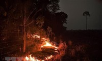 Menemukan lebih dari 2.500 titik panas kebakaran hutan di Asia Tenggara 