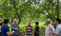 Menilai survei terhadap Geopark Global UNESCO Gunung dan Sungai Cao Bang