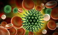 Laju Penularan Virus SARS -CoV-2 Terlambat di Dunia