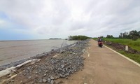 Seorang Pria yang Berupaya Keras  untuk Melindungi Tanggul Laut Bagian Barat